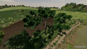 FS22 Mod: Araucarias (Image #4)