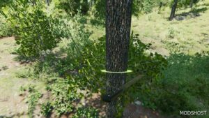 FS22 Mod: Forest Machete (Image #2)