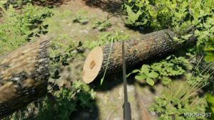 FS22 Mod: Forest Machete (Image #3)