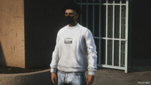 GTA 5 Player Mod: Polo Club Heavyweight Long Sleeve for Mpmale (Image #2)