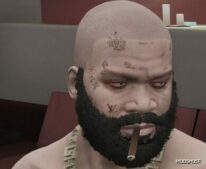 GTA 5 Player Mod: Franklin Robert II (Image #2)