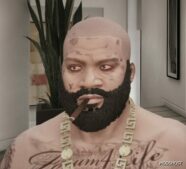 GTA 5 Player Mod: Franklin Robert II (Image #4)