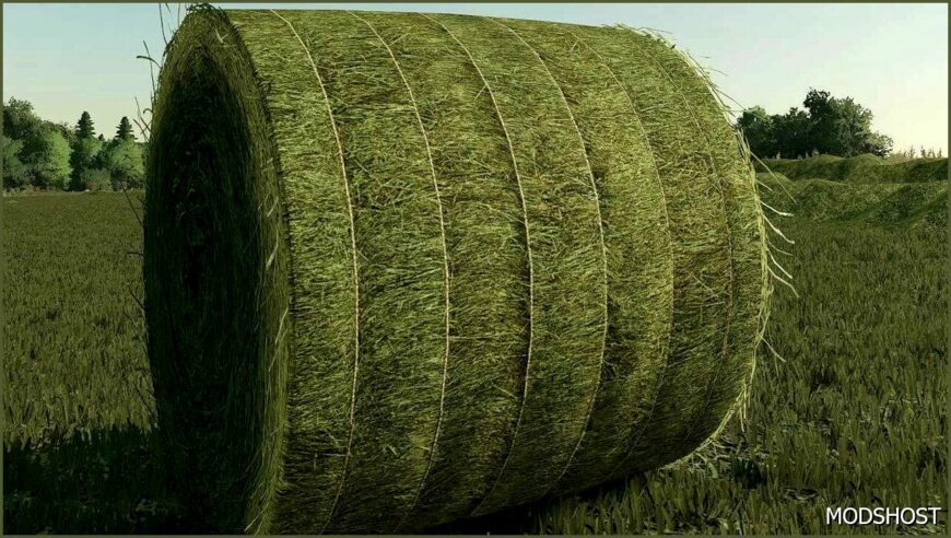 FS22 Mod: 125CM String Bales V1.1 (Featured)