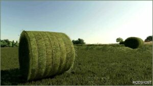 FS22 Mod: 125CM String Bales V1.1 (Image #2)