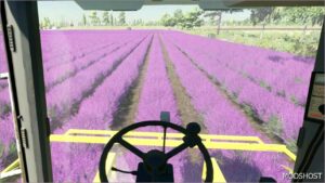 FS22 Object Mod: Lavender in Rows (Image #2)