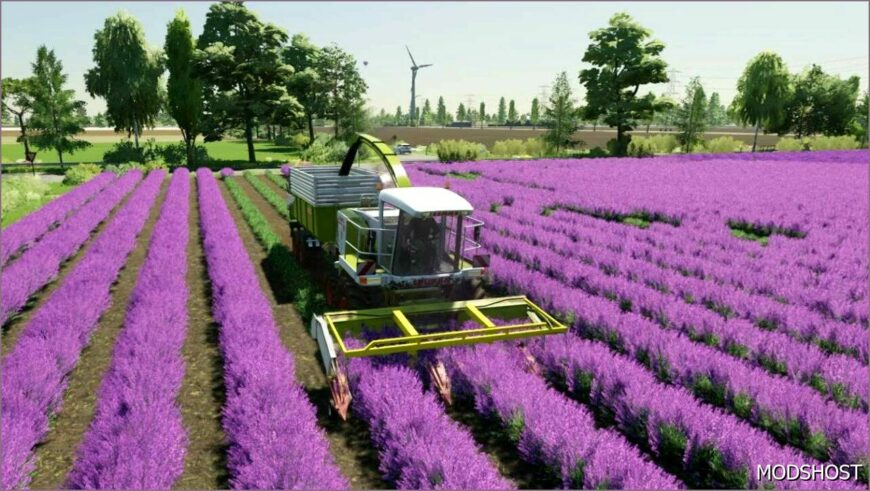 FS22 Object Mod: Lavender in Rows (Featured)