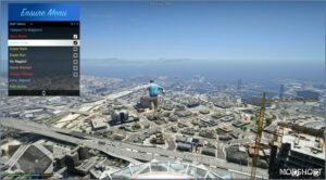 GTA 5 Script Mod: Ensure Menu (Image #4)