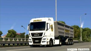 ETS2 Mod: Silesian Speed S.R.O. Skin Pack (Image #3)