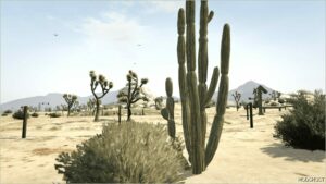 GTA 5 Map Mod: OLD GEN Desert Vegetation (Image #3)