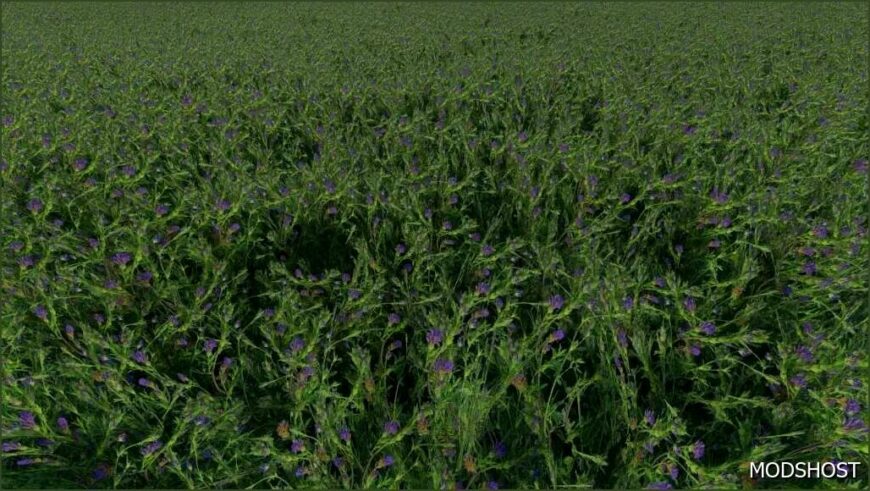 FS22 Textures Mod: Clover and Alfalfa Texture V1.0.0.1 (Featured)