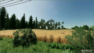 FS22 Mod: Cebulandia Map (Image #3)