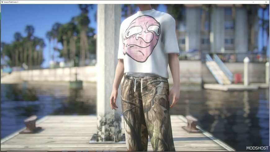 GTA 5 Player Mod: Billionaire Studios Bills Brain Boxy TEE (Female) V0.01 (Featured)