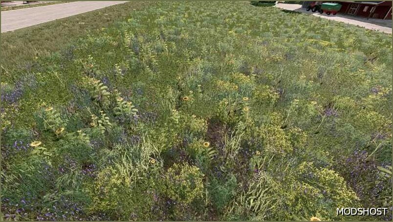 FS22 Textures Mod: NEW OIL Radish (Featured)