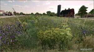 FS22 Textures Mod: NEW OIL Radish (Image #2)