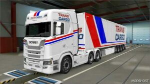 ETS2 Mod: Trans Cargo Skin Pack V0.1 (Image #3)