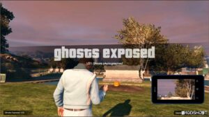 GTA 5 Script Mod: Collectibles V (Image #4)