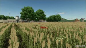 FS25 Map Mod: A Long The River Farm (Image #5)