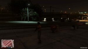 GTA 5 Script Mod: Health Decrease Mod (RP and Survival) (Image #3)