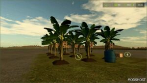 FS25 Placeable Mod: Banana Plantation (Image #3)