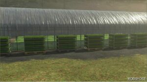 FS25 Mod: Rice Greenhouse Edit (Image #2)