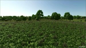 FS25 Fictional Mod: Cheeky Badger Map 4X V1.2.0.2 (Featured)